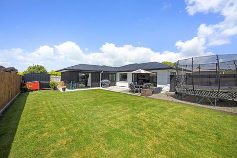 Photo of property in 1 Wescombe Grove, Feilding, 4702