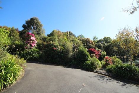 Photo of property in 8a Croydon Street, North East Valley, Dunedin, 9010