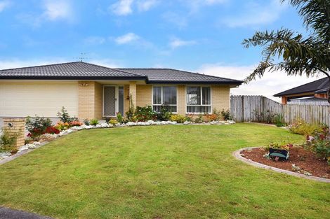 Photo of property in 41 Greig Place, Pukekohe, 2120