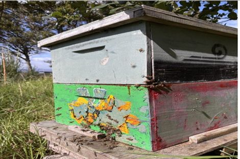 Photo of property in 2 Rowland Road, Turiwiri, Dargaville, 0374