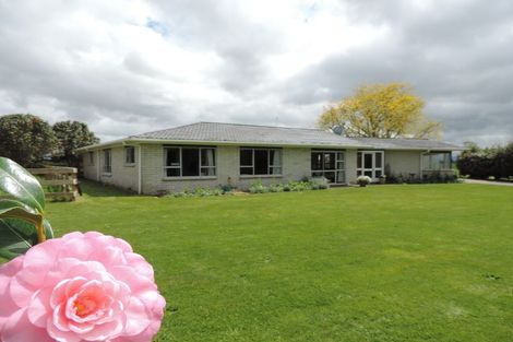 Photo of property in 31 Stopford Road, Te Poi, Matamata, 3473