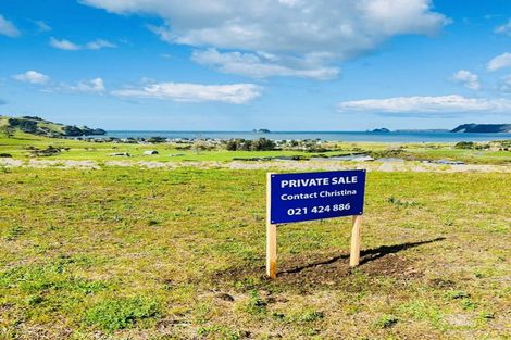 Photo of property in 54 Discovery Drive, Wharekaho, Whitianga, 3510