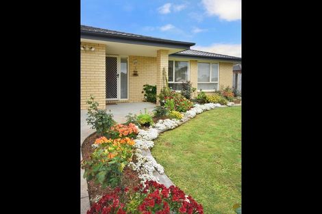 Photo of property in 41 Greig Place, Pukekohe, 2120