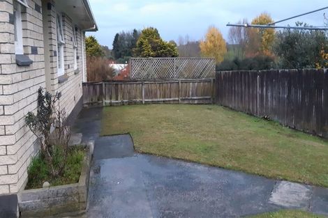 Photo of property in 163 Arapuni Street, Putaruru, 3411