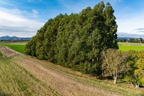 Photo of property in 522 Allanton Road, Outram, 9073