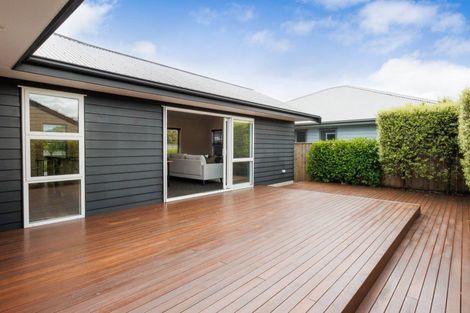 Photo of property in 35a Ward Street, Palmerston North, 4410