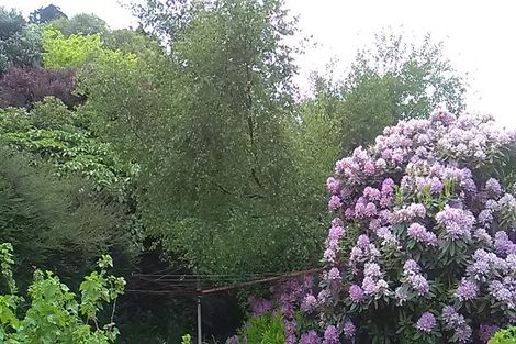 Photo of property in 20 Athol Place, Ravensbourne, Dunedin, 9022