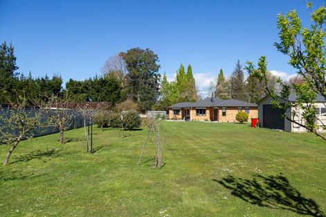 Photo of property in 32 Andrew Street, Kuripuni, Masterton, 5810