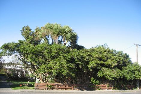 Photo of property in 38a Dunstan Street, Otaki, 5512