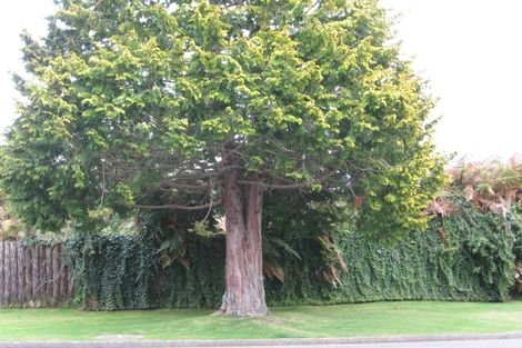 Photo of property in 51 Lytton Street, Glenholme, Rotorua, 3010