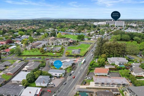 Photo of property in 82 Palmerston Street, Hamilton Lake, Hamilton, 3204