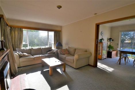 Photo of property in 21 Sutton Street, Richmond, 7020