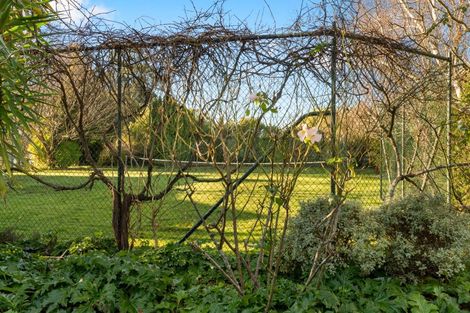 Photo of property in 47 West Bush Road, Upper Plain, Masterton, 5888