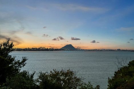 Photo of property in 49 Vine Avenue, Maungatapu, Tauranga, 3112