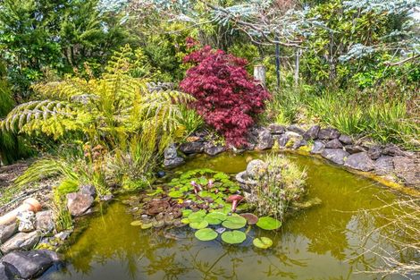 Photo of property in 119 Collarbone Road, Thames, 3500