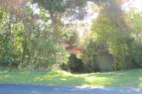 Photo of property in 31 Waiparemo Crescent, Pukawa Bay, Turangi, 3381