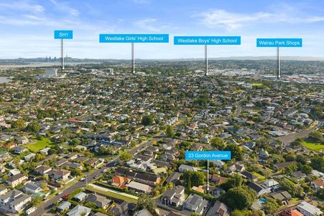Photo of property in 23 Gordon Avenue, Forrest Hill, Auckland, 0620