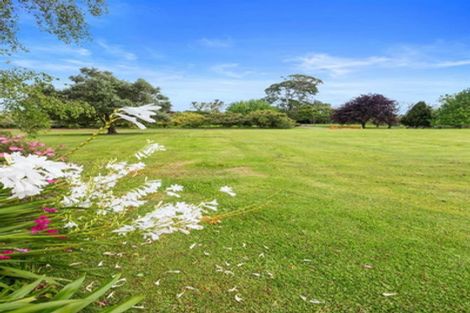 Photo of property in 13 Astelia Drive, Omokoroa, 3114