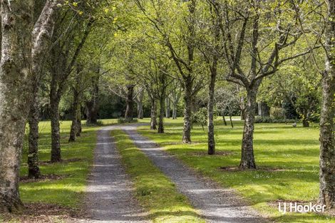 Photo of property in 58 Mcmillan Road, Tahawai, Katikati, 3170