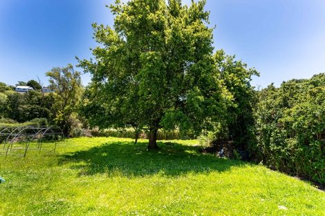 Photo of property in 20 Panmure Avenue, Calton Hill, Dunedin, 9012