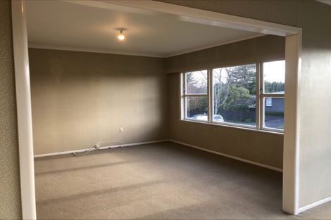 Photo of property in 101a Storey Avenue, Forest Lake, Hamilton, 3200