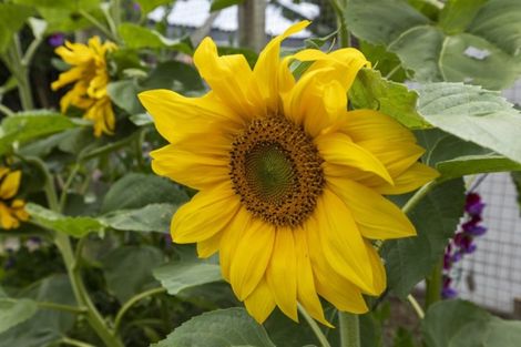 Photo of property in 35 Hunter Street, Taita, Lower Hutt, 5011