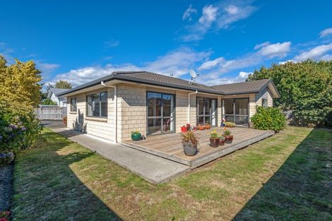 Photo of property in 19a Manson Street, Terrace End, Palmerston North, 4410