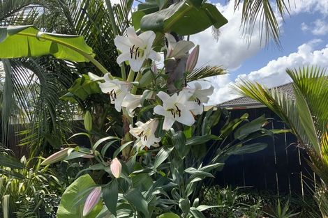 Photo of property in 31 Wells Place, Whitianga, 3510