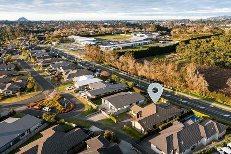 Photo of property in 55 Benmore Crescent, Pyes Pa, Tauranga, 3112