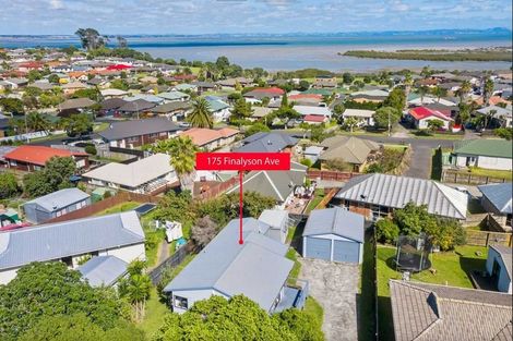 Photo of property in 175 Finlayson Avenue, Clendon Park, Auckland, 2103