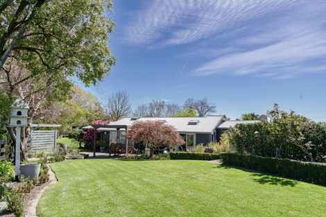 Photo of property in 114 Norton Road, Akina, Hastings, 4122