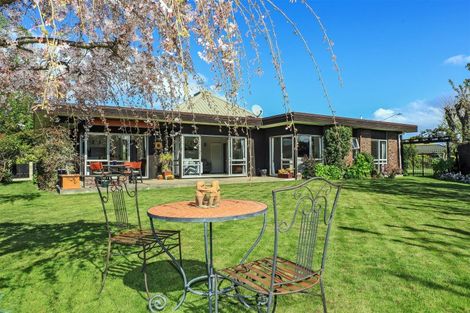 Photo of property in 28a Osier Road, Greenmeadows, Napier, 4112