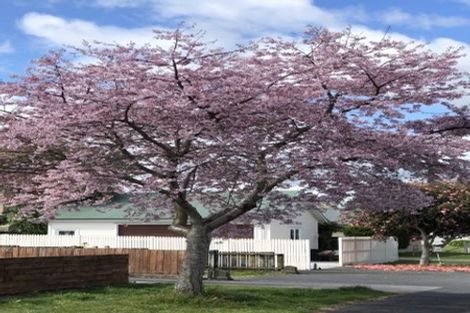 Photo of property in 25b Graham Street, Hamilton East, Hamilton, 3216