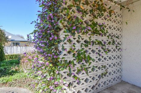 Photo of property in 3 Walnut Lane, Carterton, 5713