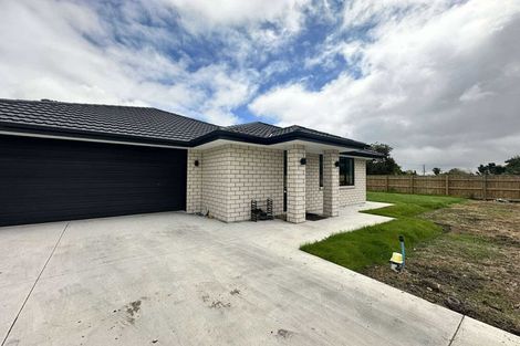 Photo of property in 24b Mckenzie Street, Levin, 5510