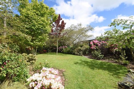 Photo of property in 16 Katrine Street, Otautau, 9610