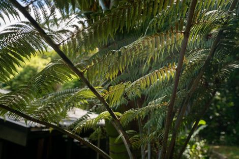 Photo of property in 101 Huia Street, Waikanae, 5391