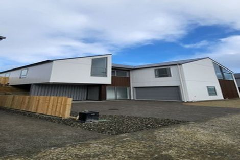 Photo of property in 17 Lemonwood Way, Woodridge, Wellington, 6037