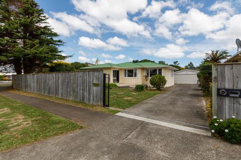 Photo of property in 151 Limbrick Street, Terrace End, Palmerston North, 4410