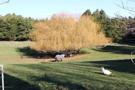 Photo of property in 60 Weston Road, Waiareka Junction, Oamaru, 9401