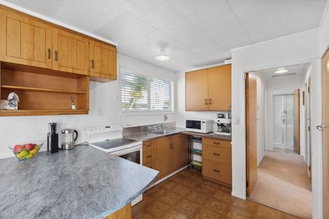 Photo of property in 55b Fifth Avenue, Enderley, Hamilton, 3214