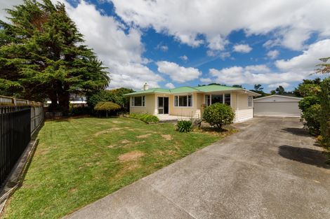 Photo of property in 151 Limbrick Street, Terrace End, Palmerston North, 4410