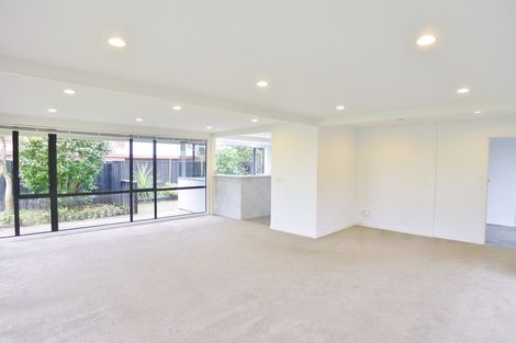 Photo of property in 101a Te Kawa Road, Greenlane, Auckland, 1061