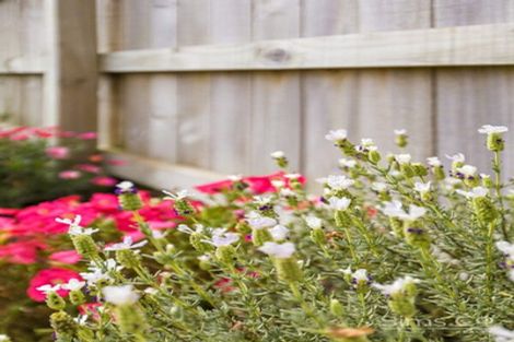 Photo of property in 63 Tawhero Street, Gonville, Whanganui, 4501