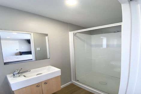 Photo of property in 65a Barbour Street, Waltham, Christchurch, 8011