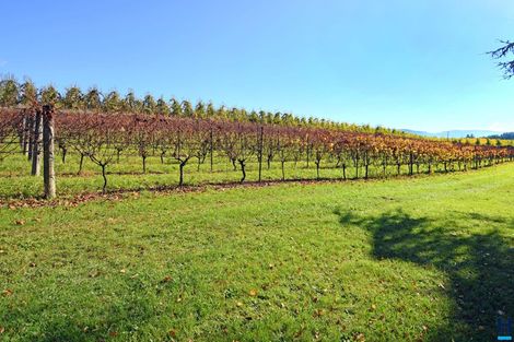 Photo of property in 196 Holdaway Road, Lower Moutere, Upper Moutere, 7175