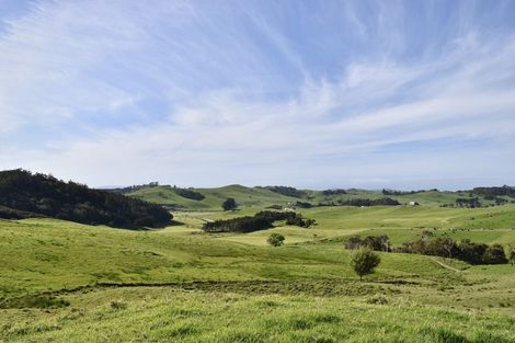 Photo of property in 101 Sills Road, Arapohue, Dargaville, 0370