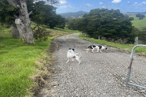 Photo of property in 492 Wairere Road, Paparoa, 0571