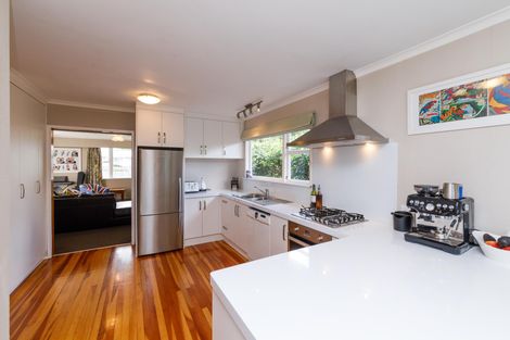 Photo of property in 151 Limbrick Street, Terrace End, Palmerston North, 4410