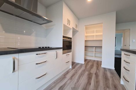 Photo of property in 28 Lomu Way, Rolleston, 7615